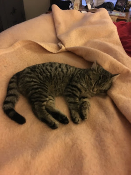 Meet your Posher, Rxchic71 - Picture 1 of 1